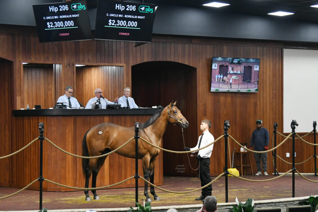 APRIL 2022 OBS TWO YEAR OLD TRAINING SALE SETS NEW RECORD! Auburn Labs