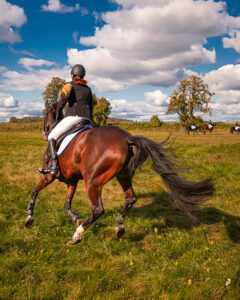 Horse and Rider in Field